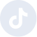 TikTok icon